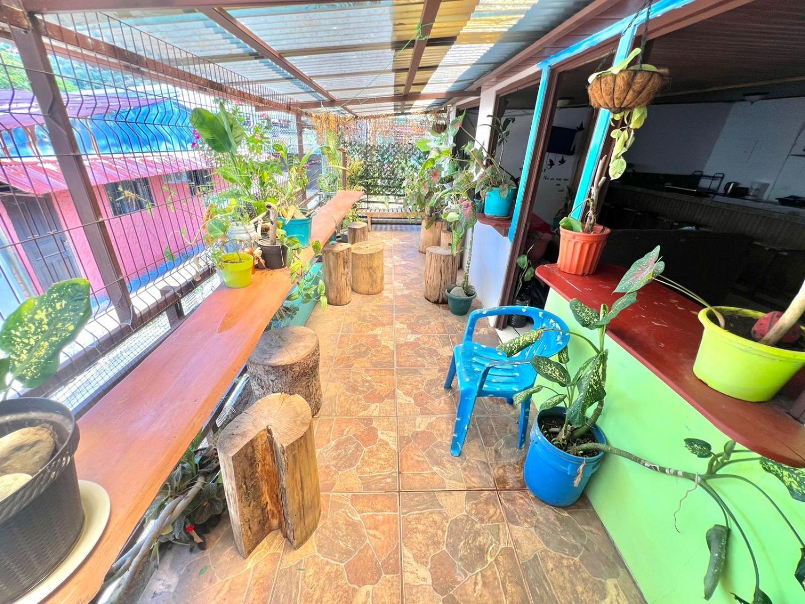 Cheap Hostel ケポス エクステリア 写真